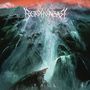 Borknagar: Fall (180g), 2 LPs