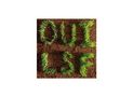 Les Savy Fav: Oui, LSF (Limited Edition) (Bloodhot Vinyl), LP