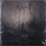 Logo "Opeth", darunter "Blackwater Park". Dunkles, nebliges Waldmotiv mit Silhouetten von Bäumen und Schatten., 2 LPs