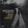 Brad Shepik: Human Activity Dream Of The Possible, CD