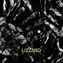 Lizzard: Mesh (Limited Edition) (Black Vinyl), LP