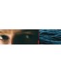 Text "TEED" in Rot, wellige Wasseroberfläche rechts, Nahaufnahme eines Auges links., LP