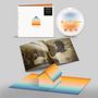 Coverbeschriftung: "Casa Paradiso" von Tommaso Paradiso; CD und Booklet mit buntem Haus-Design und Foto eines Mannes., CD