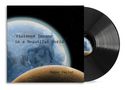 Text: "Violence Insane in a Beautiful World, Roger Taylor". Cover zeigt Planeten, Hintergrund ist schwarz. Vinyl-Schallplatte sichtbar., LP