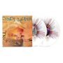 Text: "CYNDI LAUPER TRUE COLORS". Cover zeigt Person mit buntem Haar auf Sand. Zwei Schallplatten mit buntem Muster., 2 LPs