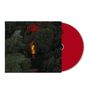 Texte: "Old Flames", rotes CD-Cover. Dichtes Waldgebiet mit einem hellen Lichtschein in der Mitte., CD