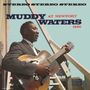 "MUDDY WATERS AT NEWPORT 1960" über einem Mann in Anzug mit Gitarre, fotografiert auf einer Treppe., LP