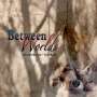 Deborah Martin & Erik Wollo: Between Worlds, CD