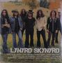 Lynyrd Skynyrd: Icon, 2 LPs