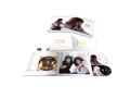 Brian May: Back To The Light (remastered) (180g) (Limited Collectors Edition Boxset) (White Vinyl), LP,CD,CD