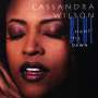 Cassandra Wilson: Blue Light 'Til Dawn (180g), LP,LP