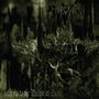 Emperor: Anthems To The Welkin At Dusk (Reissue) (Limited Edition) (Black/White/Green Swirl Vinyl) (Half Speed Master), LP