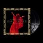 Florence & The Machine: Dance Fever (Live At Madison Square Garden 2022) (180g), 2 LPs