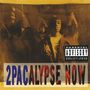Tupac Shakur: 2Pacalypse Now x Joshua Vides (Limited Edition), LP,LP