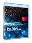 Peter Gabriel: Taking The Pulse (Live In Verona), BR