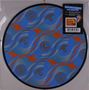 The Rolling Stones: Steel Wheels Live (Atlantic City 1989) (RSD 2020) (Limited Edition) (Picture Disc), 10I