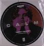 5 Seconds Of Summer: Calm (Luke Remix Edition) (Picture Disc), LP