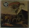 Cuby & Blizzards: Groeten Uit Grollo, CD