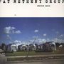 Pat Metheny: American Garage (180g HQ-Vinyl), LP