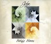 Gotye: Making Mirrors, CD