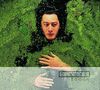 Alain Bashung: Fantaisie Militaire (Deluxe Edition), CD,CD