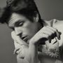 Brandon Flowers (Killers): The Desired Effect, LP, LP