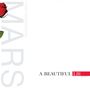 Thirty Seconds To Mars: A Beautiful Lie, LP