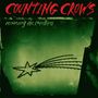 Counting Crows: Recovering The Satellites (180g) (33 RPM) (2025 Reissue), 2 LPs