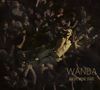 Wanda: Amore meine Stadt - Live (Limited-Edition), CD,BR