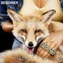Beginner: Advanced Chemistry (Limited Edition), CD,CD