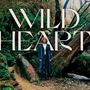 Kim Walker-Smith: Wild Heart, CD, CD