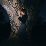 Eine Person steht an einem mit Graffiti bedeckten Baum; umgeben von nächtlicher Dunkelheit., CD