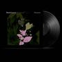 Text: "Daniel Lanois Belladonna Nocturne". 
Dunkles Albumcover mit Schmetterling und abstrakten Blumenmustern. Vinyl-Schallplatte sichtbar., LP
