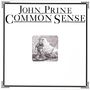 John Prine: Common Sense (180g), LP