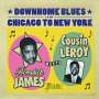 Homesick James: Meets Cousin Leroy: Downhome Blues From Chicago To New York, CD