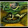 „Drive-By Truckers“, „the fine print“, 2003-2008. Illustration: Frau in einem Brunnen, Mond, altes Auto, knorriger Baum., 2 LPs