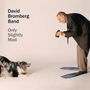 David Bromberg: Only Slightly Mad, CD, CD
