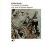 Text: Little North, Crossing Currents, Joel Ross & Hannes Bennich. Illustration: Abstrakte, wellenförmige Muster., CD