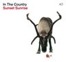 In The Country: Sunset Sunrise (180g), LP,CD