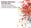 Andreas Schaerer: The Big Wig (180g), 2 LPs