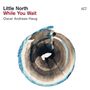 Little North: While You Wait, CD