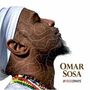 Omar Sosa: Afreecanos, CD