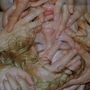 Pharmakon: Contact, CD
