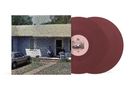 Braune Schallplatten mit dem Text "FRAILTY" auf der Hülle, verpixeltes Haus mit Auto im Vordergrund., 2 LPs