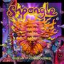Shpongle: Museum Of Consciousness (remastered) (180g), 2 LPs