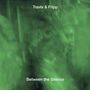 Robert Fripp & Theo Travis: Between The Silence: Live, 3 CDs