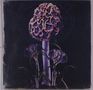 Blut Aus Nord: Hallucinogen, 2 LPs
