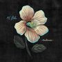 El Buho: Balance, CD