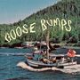 Boyscott: Goose Bumps (Yellow & Green Vinyl), LP