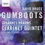 David Bruce: Gumboots, CD